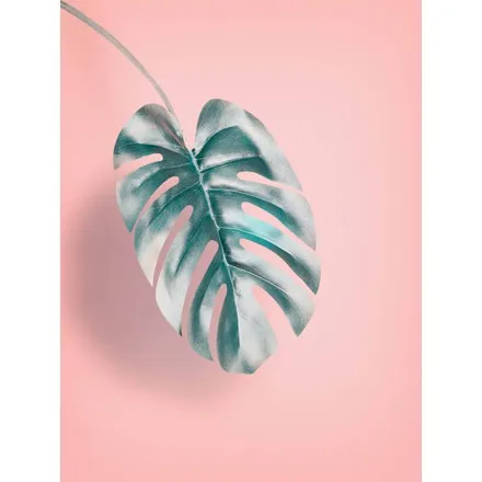 Poster Leht 30x40 cm