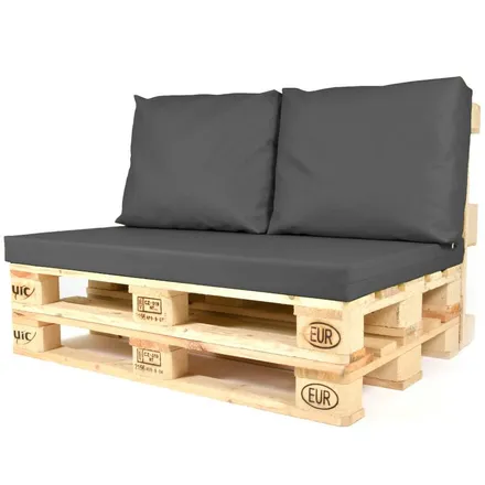 Euroaluse seljatoepadjad Original 50x60 tumehall 2tk