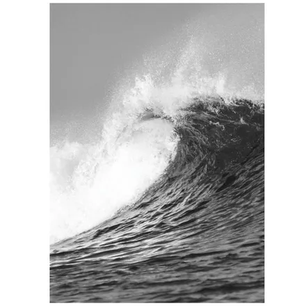 Poster Wave Curl 50x70 hall