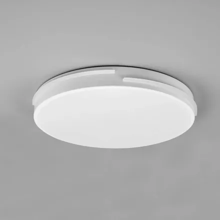 Plafoon Tacoma D40 valge