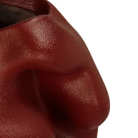 Vaas Organic H41 punane