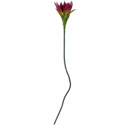 Kunstlill Lily H76 lilla