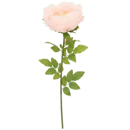 Kuntlill Peony H115 heleroosa