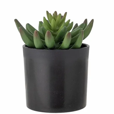 Bloomingville kunsttaim Echeveria H14 roheline