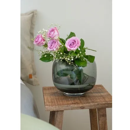 Vaas Fanni K Uumen H20 hall