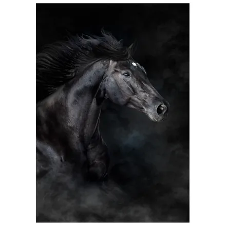 Seinapilt Etalon 70x100