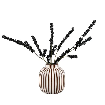 Vaas Zebra H20 pruun