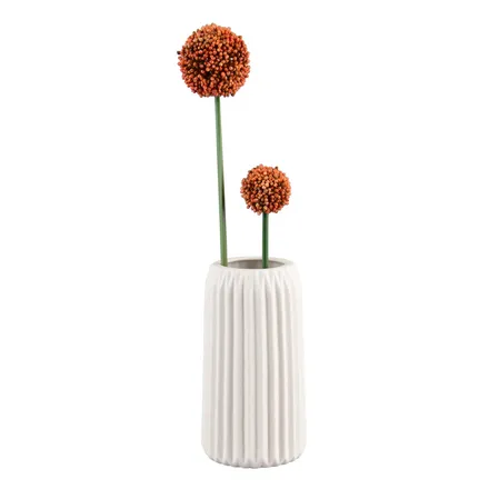 Vaas Ripple H20 valge