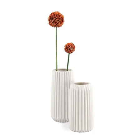 Vaas Ripple H23 valge