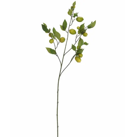 Kunstlill Sidrunioks H135 roheline