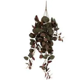 Rippuv kunstlill Ceropegia roheline