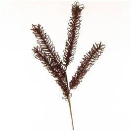 Kunstaim Foamflower H67 pruun