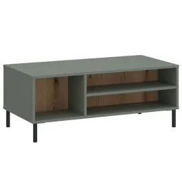 Diivanilaud Pozzi 100x60 salveiroheline/tamm