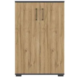 Madal kontorikapp Profi 3.0 2u grafiit/grandson tamm