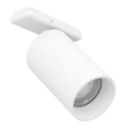 Kohtvalgusti siinile Eglo TPlus LED valge