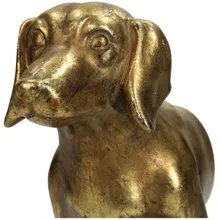 Raamatuhoidja Dog kuldne