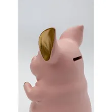 Rahakassa Istuv Põssa roosa