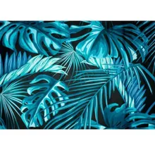 Dušikardin Jungle 180x200 must/roheline