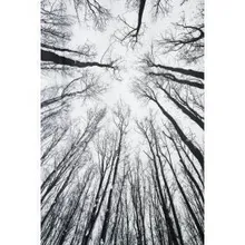 Kardin Forest 135x240 cm