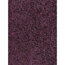 Vaip Spice hemFree™ 120x160 cm lilla