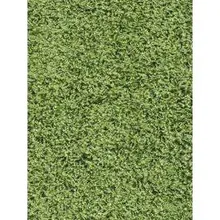 Vaip Spice hemFree™ 80x160 cm roheline