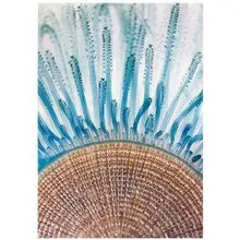 Seinapilt Macroscopic 65x92.5 sinine