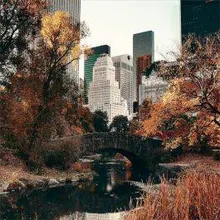 Klaaspilt Central Park 70x70 cm