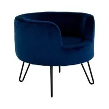 Lemmiklooma pesa Throne sinine