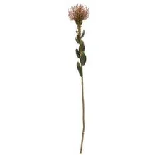 Kunstlill Protea H59.7 heleroosa