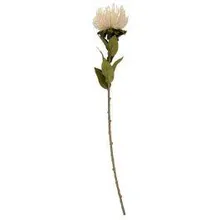 Kunstlill Protea H59.7 valge