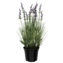 Kunstlill Lavendel H61 lilla