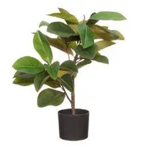 Kunstlill Ficus H62 roheline