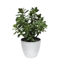Kunstlill Jade H41 roheline