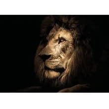 Klaaspilt Lion 100x70