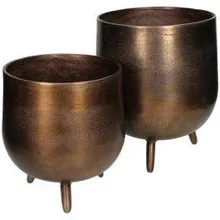 Lillepott Brown D22 pruun