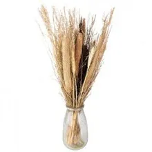 Kuivatatud lilled mix H50