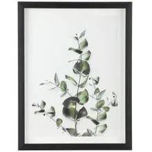 Seinapilt Eucalyptus 35x42.5 must/roheline