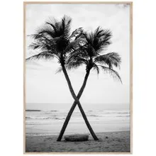 ArtBox pilt Palms 50x70
