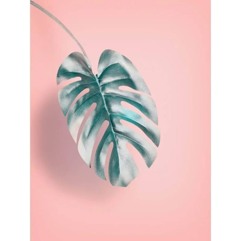 Poster Leht 30x40 cm