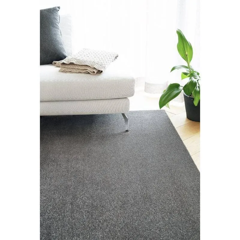 Vaip Eden hemFree™ 160x240 cm hall