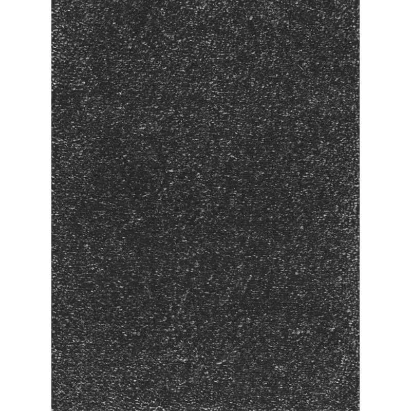 Vaip Eden hemFree™ 300x400 cm must