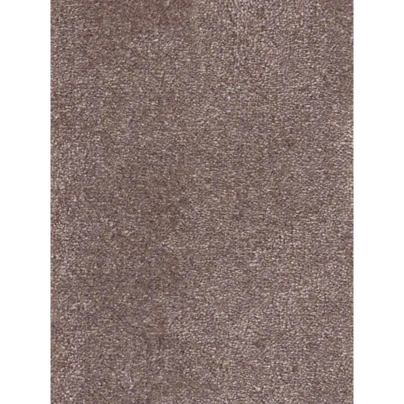 Vaip Eden hemFree™ 300x400 cm pruun