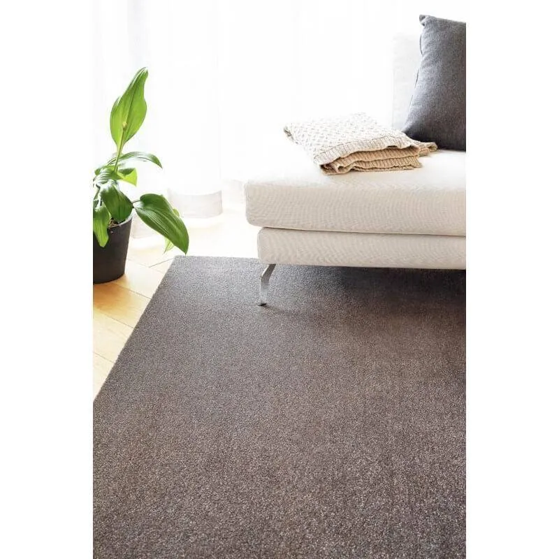 Vaip Eden hemFree™ 67x133 cm pruun