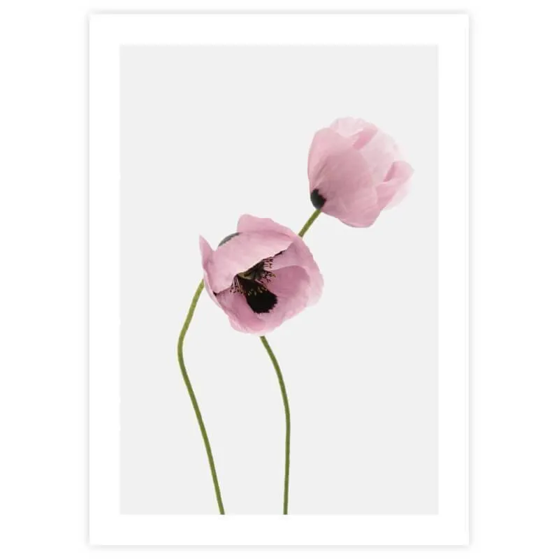Poster Moonid 50x70 cm