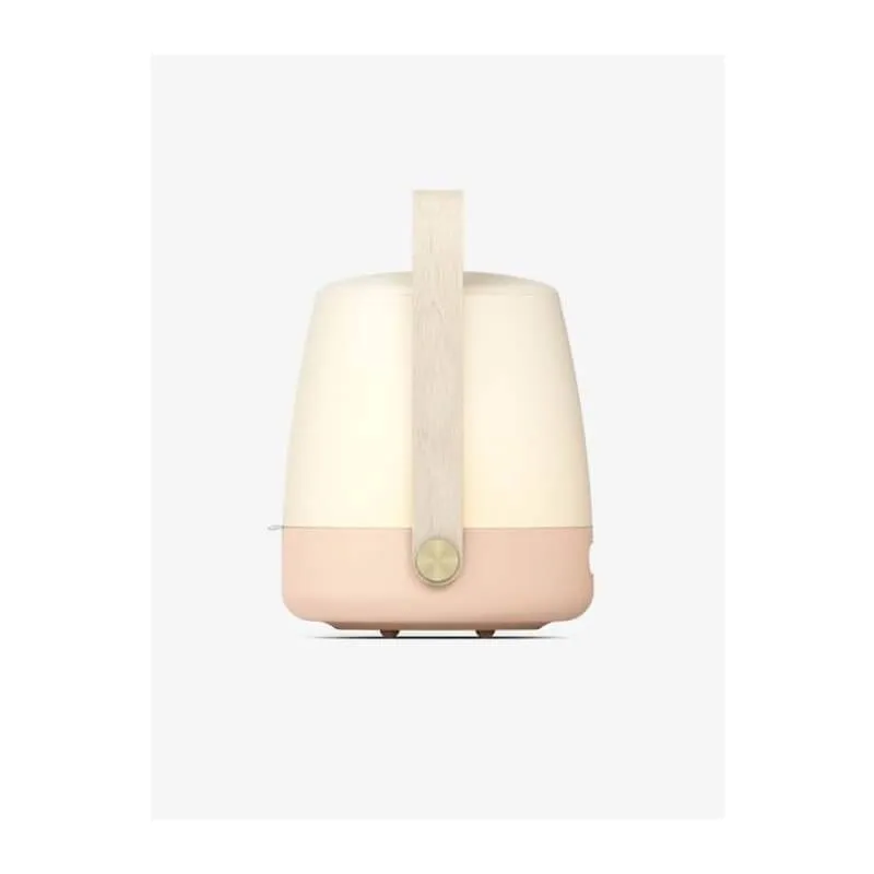 Meeleoluvalgusti Lite-Up Light Rose
