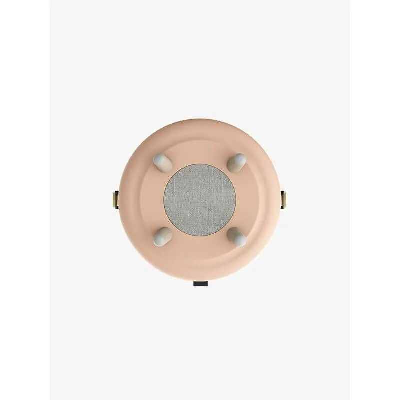 Kõlar+meeleoluvalgusti Lite-Up Play Light Rose