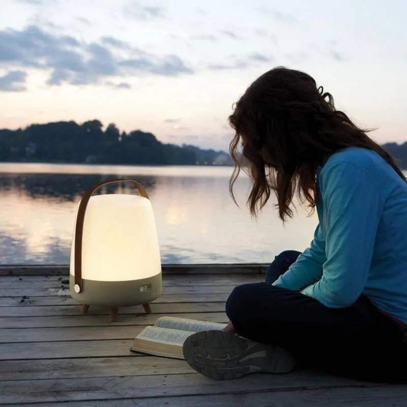 Kõlar+meeleoluvalgusti Lite-Up Play Light Rose