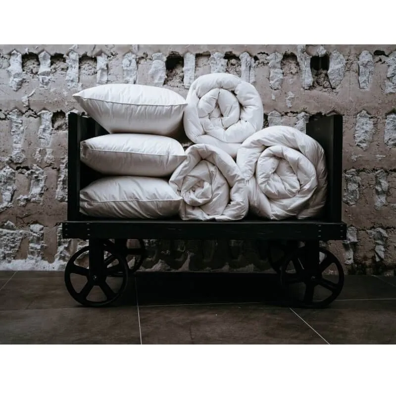 Udusulepadi Norsk Dun 50x60 madal