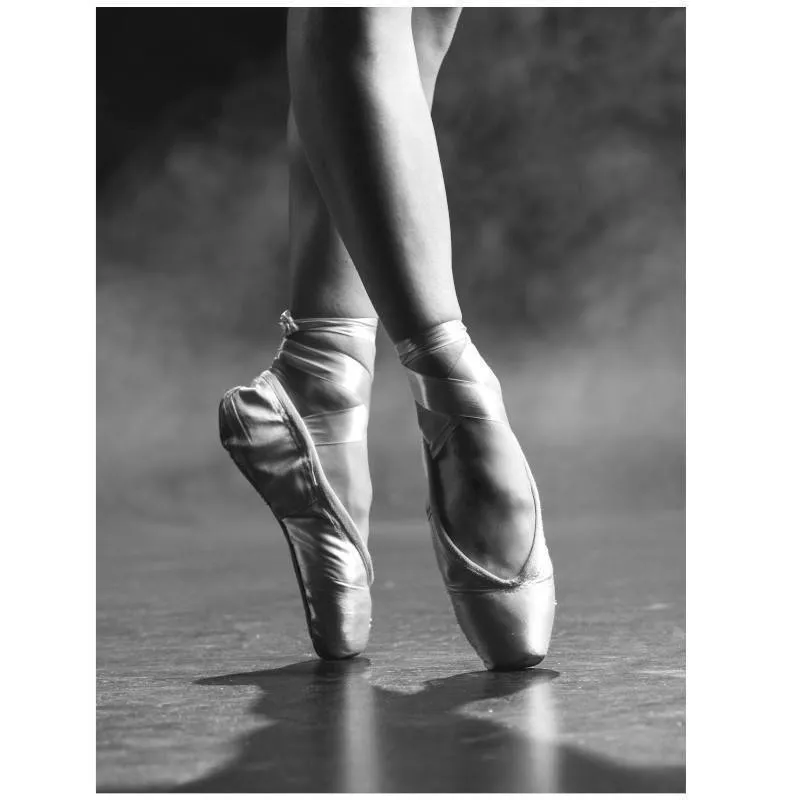 Poster Ballet 30x40 must