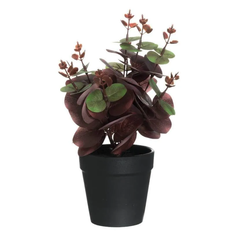 Kunstlill Eucalyptus